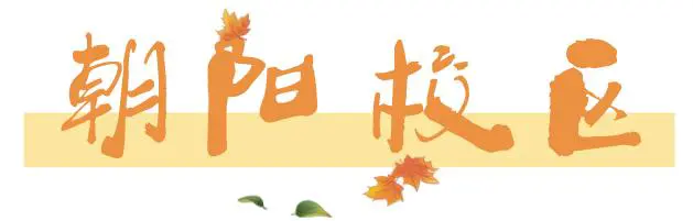 为什么篮球教练的经验很重要_1